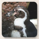 Suche nach penguin untersetzer Pinguin