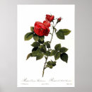 Recherche de copie de jardin posters Jardinage