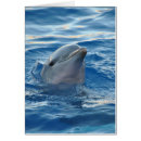 Recherche de beau dauphin cartes postales Aquatique