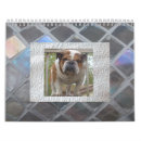 Recherche de chien de taureau bureau fournitures Chiots