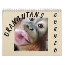 Suche nach affen kalender Baby