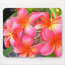 Suche nach frangipani mousepads Hawaiisch