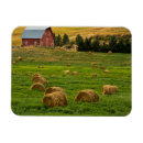 Suche nach albion Landwirtschaft