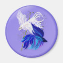 Recherche de siamois magnets Animaux familiers