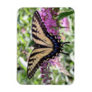 Suche nach frack magnete Schwalbenschwanz