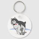 Suche nach heiseren Malamute