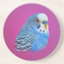 Recherche de perruches dessous de verres Nature