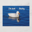 Suche nach ducky postkarten Niedlich