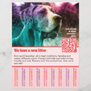 Suche nach welpe flyer Hunde
