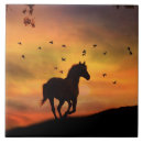 Recherche de beau cheval carreaux Chevaux