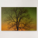 Suche nach aurora borealis puzzle Stars