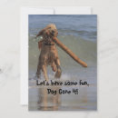 Recherche de canine invitations Chiot