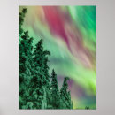 Suche nach fichte poster Winter