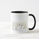 Recherche de temperature tasses Animaux