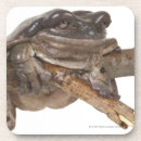 Suche nach kriechen untersetzer Farbbild