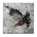 Suche nach adler fliesen Vögel