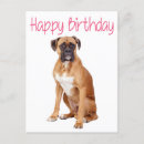 Suche nach boxerwelpen Geburtstag