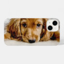 Recherche de cockers iphone coques Chien