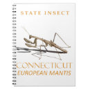 Recherche de religiosas Insecte