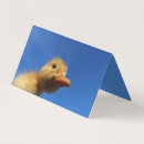 Recherche de bleu canard cartes visite Animal