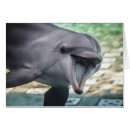 Recherche de beau dauphin cartes postales Nature