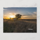 Recherche de hangar cartes postales Pour tous