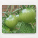 Suche nach tomaten mousepads Gesund