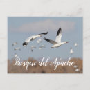 Suche nach apache postkarten Natur