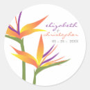 Suche nach paradiesvogel aufkleber Modern