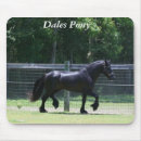 Suche nach trott Pony