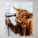 Suche nach haartrockner poster Friseur