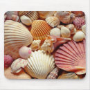 Recherche de palourdes tapis souris Coquillages