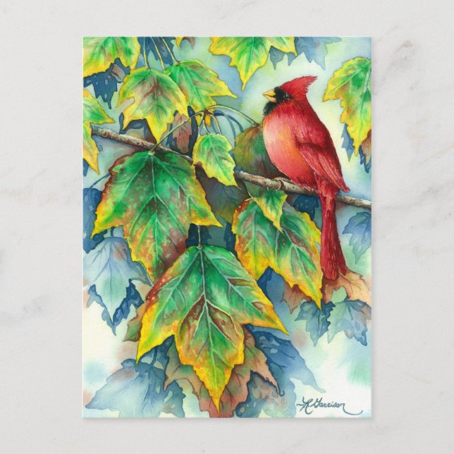 0004 Kardinal Postkarte (Vorderseite)