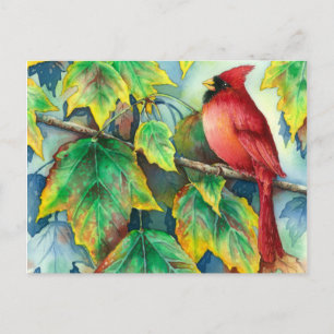 0004 KardinalPostkarte Postkarte