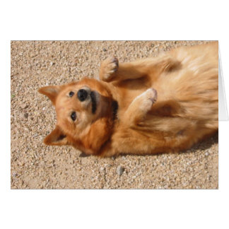 0006Bauchfäule aus Kupfer