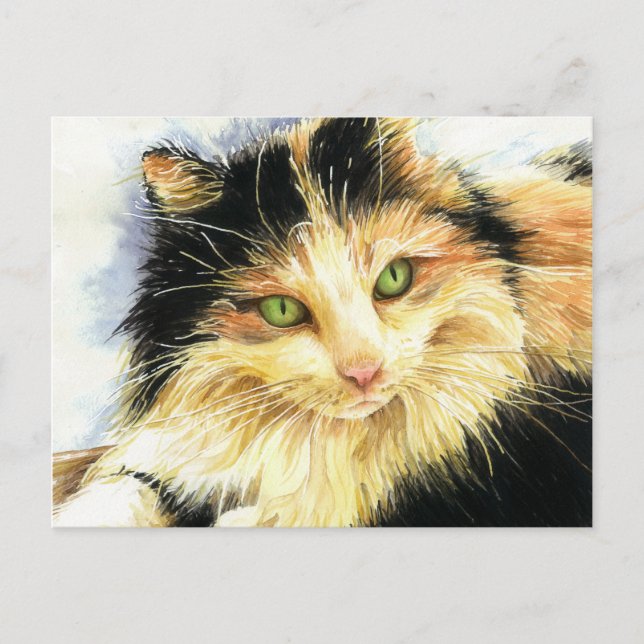 0010 Calico Cat Postkarte (Vorderseite)