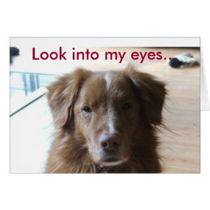 0029, Schau in meine Augen...