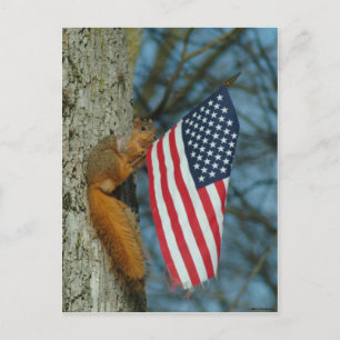 010510-4-APC ONE PATRIOTIC SQUIRREL POSTKARTE