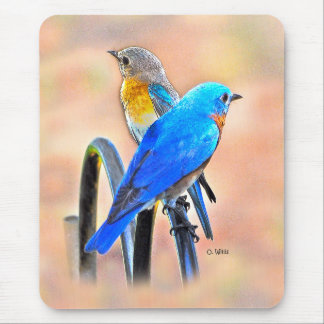 010 tapis de souris de l'amour 7.75x9.25 d'oiseau