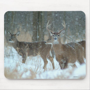 011110-57-AMP MOUSEPAD