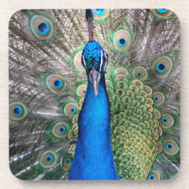 024 - Pfau-Set - Untersetzer
