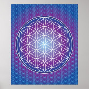02 TRANSCENDENZ - Blume des Lebens Poster