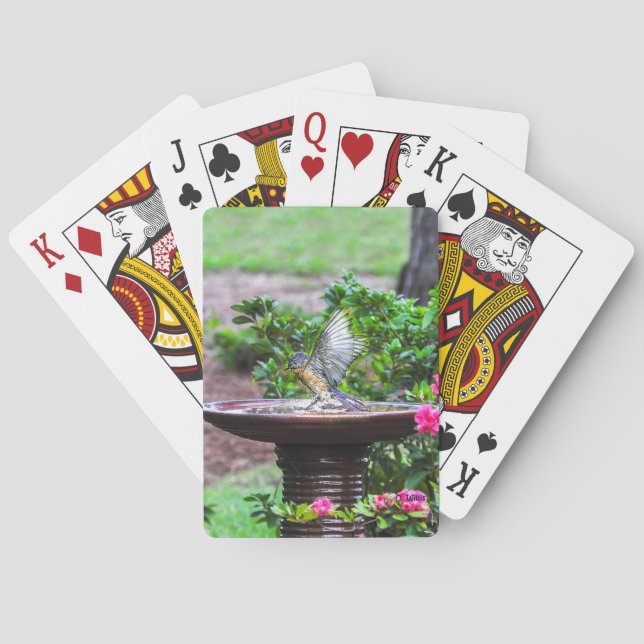 030 Drossel-Bad-Spielkarten Spielkarten (Rückseite)