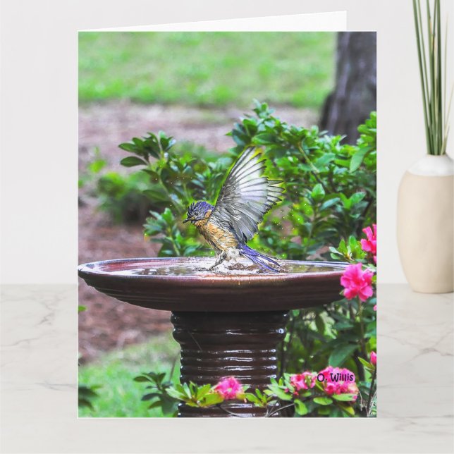 030 Lech der Drossel-Bad-großer Karten-8.5x11 Karte (Vorderseite)