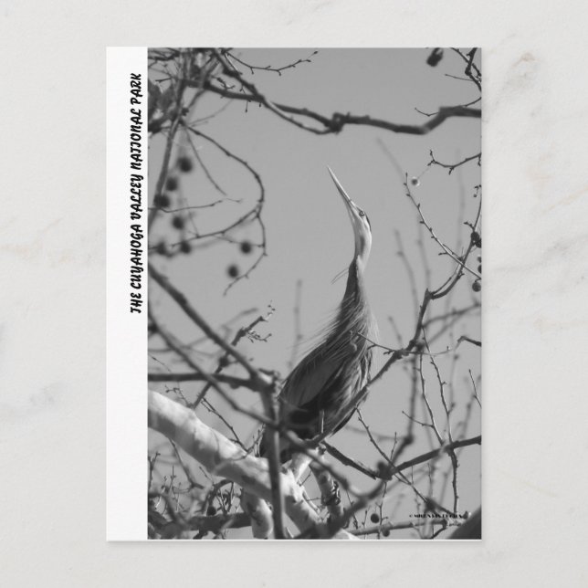 040510-9-APC POSTKARTE (Vorderseite)