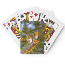 040 cartes de jeu de cour d'oiseau bleu