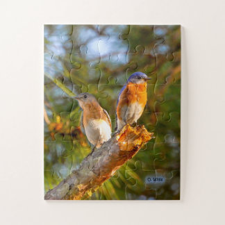 040 enfants du puzzle 11x14 de cour d'oiseau bleu