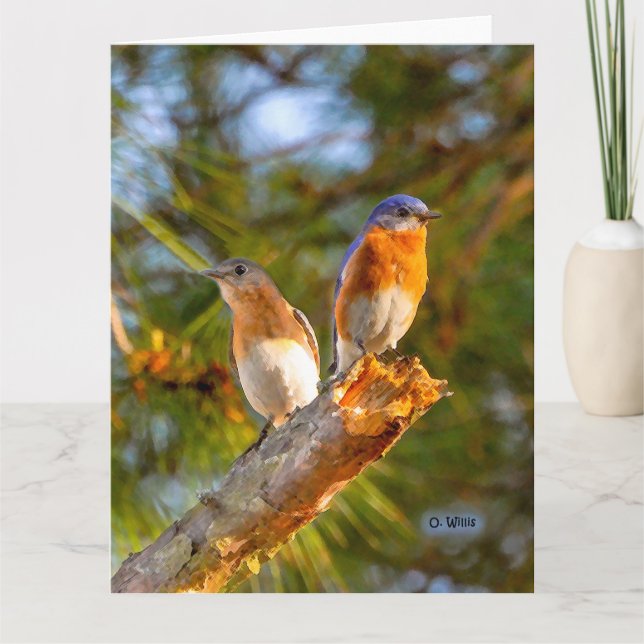 040 Lech der Drossel-Umwerbungs-großer Karte (Vorderseite)