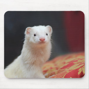 040 MOUSEPAD