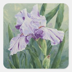 0440 Lila Iris Quadratischer Aufkleber
